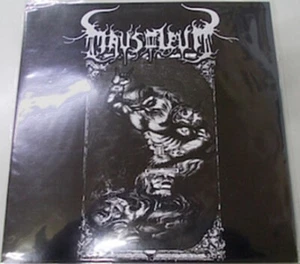 MAUSOLEUM / BESTYMATOR – Split LP - Picture 1 of 5
