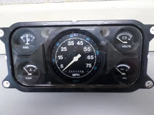Grupo velocímetro Ford Louisville LTLN 8000 E7HT-17259DA E7HF-17265 TEMPERATURA COMBUSTIBLE - Imagen 1 de 8