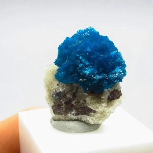 Cavansite on matrix  (non precious natural stone) # 4260 - Picture 1 of 4