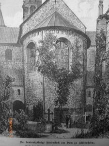 der tausendjährige Rosenstock im Dom zu Hildesheim - Bild 1 von 1