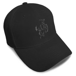 Baseball Cap Western Horse Rodeo Cowboy Acrylic Dad Hats for Men & Women 1 Size - Picture 1 of 41