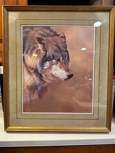 QUADRO LUPO DI ALAN HUNT 1987 PROF. INCORNICIATO SOTTO VETRO OPACO 26" X 22" CORNICE ORO - Foto 1 di 4