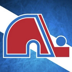 1990-91 Quebec Nordiques Hockey Petro-Canada Team Issued Postcards NHL - Picture 1 of 5