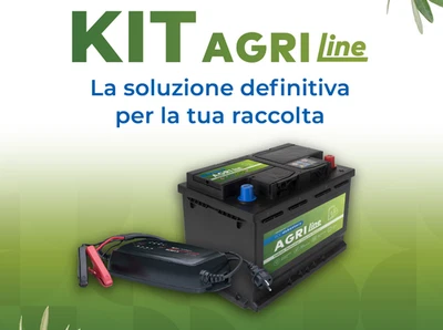 DS BATTERY BATTERIA ABBACCHIATORE POTATORE 12V compreso caricabatteria