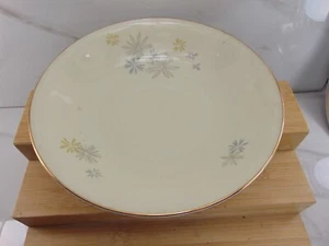 Vtg Bavaria GERMANY Heinrich & Co H & C SELB Hand Painted 9 1/4 INCH BOWL MINT - Picture 1 of 4