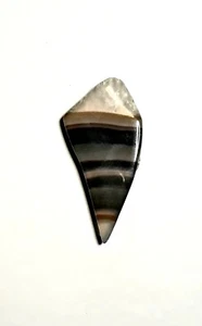 Polished Agate Quartz Rock Gemstone Brown Beige White Triangle Pointed Striped - Picture 1 of 5
