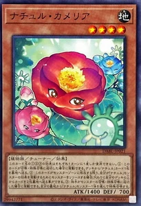 YuGiOh DABL-JP021 Naturia Camellia - Picture 1 of 2