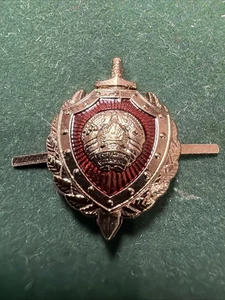 Belarus Republik Staatswappen der Forensiker Offiziersansteckabzeichen - Bild 1 von 9