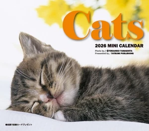 2026 Mini Calendar Cats 980 - Picture 1 of 1