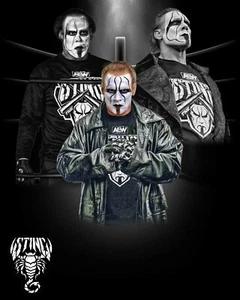 STING 8x10 CUSTOM PHOTO WWE ROH ECW TNA NXT AEW - Bild 1 von 1