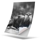 1 x Vinyl Sticker A5 - BW - Otter Wild Animal Nature #35399