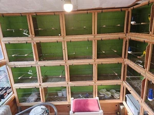 Double Canary Breeding Cages With fronts - Picture 1 of 2