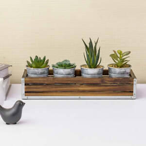 Assorted Faux Succulents Potted in Galvanized Metal Pots w/ Wooden Box & Handles