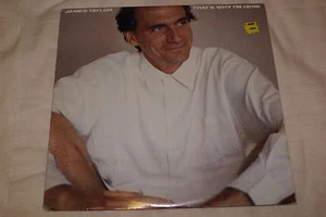 JAMES TAYLOR "THATS WHY BIN ICH HIER" Vinyl Album. Sauber und keine Kratzer - Bild 1 von 6