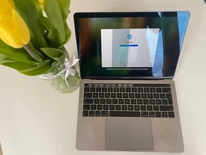 Apple MacBook Pro 13,3 cala (256 GB SSD, Intel Core i5-8259U, 2,3 GHz, 8 GB RAM) - Zdjęcie 1 z 22