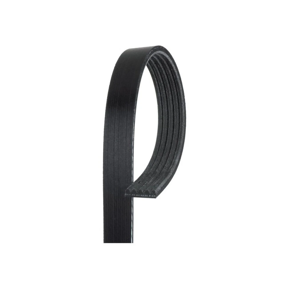 Genuine ACDelco For Audi RS7 2014-2016 Standard V-Ribbed Serpentine Belt | Black - Image 1 of 4