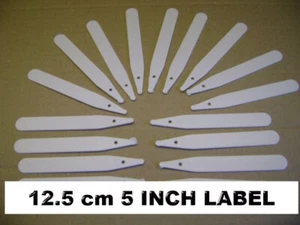 1000 X 5" seed labels white plastic plant stick in 12.5cm tray marker ex value - Picture 1 of 12