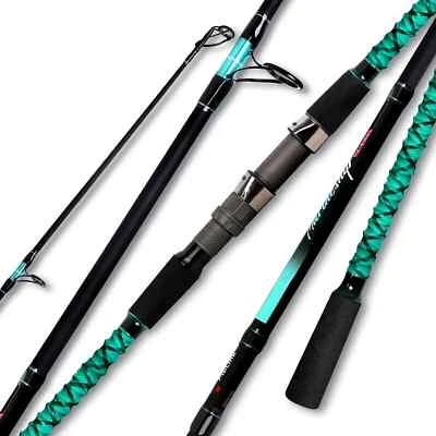 Surf Spinning Rod Travel 2/3/4PC Carbon Fiber Saltwater Fishing Pole 9/10/12/13' - Image 1 of 4