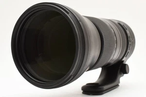 Tamron SP 150-600mm f5-6.3 Nikon Di VC USD G2 una luz niebla - Imagen 1 de 10