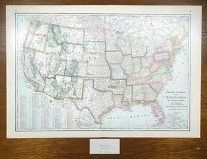 Vintage 1911 National Forest Reserves Karte 22"x15" alt antik Original USA - Bild 1 von 13