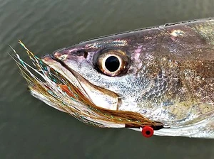Fly Fishing Flies (Redfish, Trout, Bass, Gar) Clouser Minnow Olive and White (6) - Picture 1 of 3