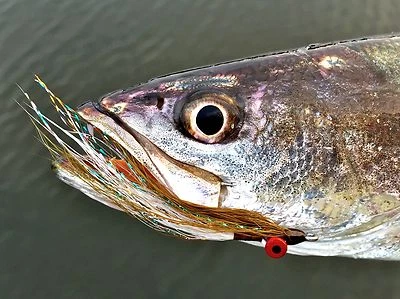 Fly Fishing Flies (Redfish, Trout, Bass, Gar) Clouser Minnow Olive and White (6) - Image 1 of 3