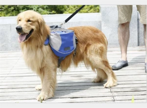 Mochila Mochila Scout Dog Outward Senderismo Bolsa de Sillín Viaje al Aire Libre Camping L M S - Imagen 1 de 16