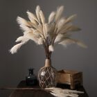 Fake Reed Plants for Wedding Decoration Silk Flowers in Multiple Colors