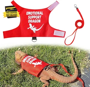 Romansk Bearded Dragon Harness and Leash Set - Escape Proof Adjustable Lizard Re - Picture 1 of 7