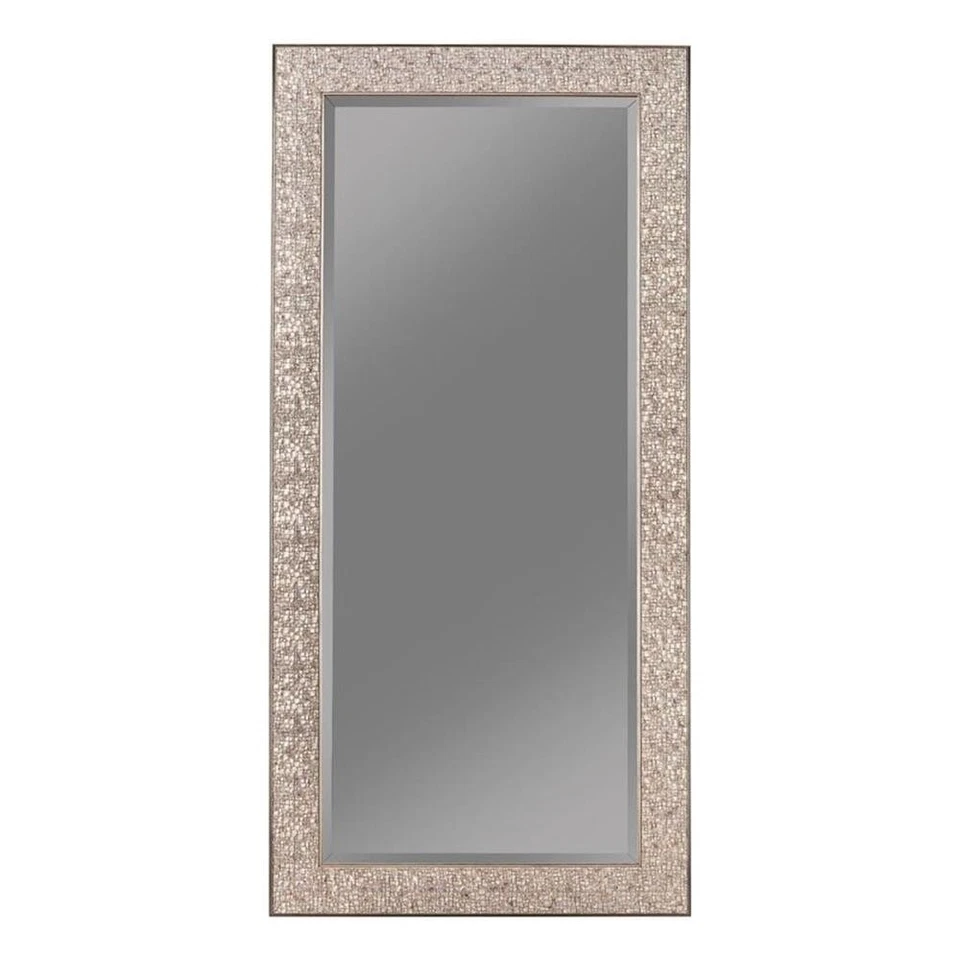 Espejo de piso rectangular de vidrio moderno Coaster Rollins plateado brillante Foto 1 de 1