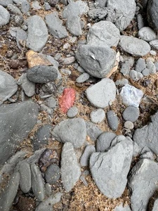 Absolut wunderschöne alte authentische rote Jaspis Pfeilspitze aus NEMissippi - Bild 1 von 23