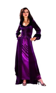 Gothic Lady Dress Dxl. 2 Pc Purple Velour & Satin Skirt & Laced Bodice Costume - Picture 1 of 1