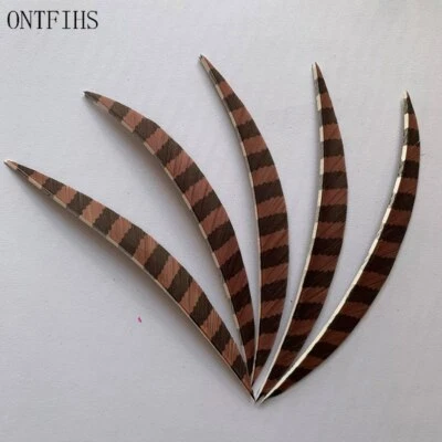50Pcs 5 Inch Archery Arrow Feather Fletching Striped Banana - Image 1 of 4