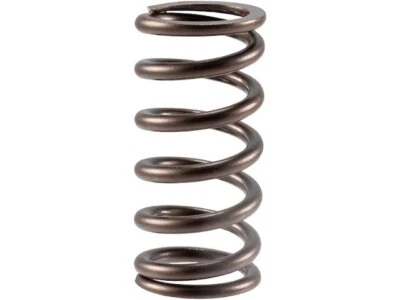 For 2001-2003 Sterling Truck LT9500 Valve Spring Outer 21857BXDD 2002 - Image 1 of 2