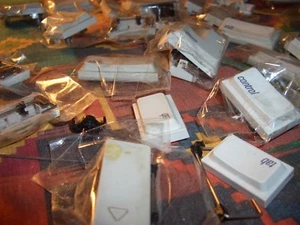 APPLE IIgs HIGH-DEMAND  KBD ALPS KEYCAPS #A9M0330 #658-4081 $3.40 each cap + S/H - Picture 1 of 7