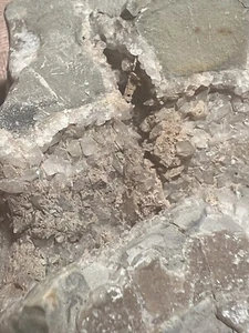 Calcite concretion, Unknown locality - Picture 1 of 3