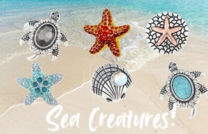 20mm Snaps Jewelry Sea Creatures Charm Button Turtle Starfish Sea Shell Beach - Picture 1 of 19