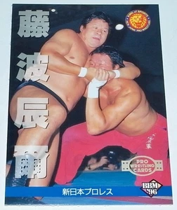 BBM 1996 Tatsuji Fujinami Pro Wrestling Regular Card New Japan Rare - Picture 1 of 2