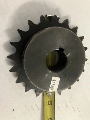 Piñón 417666 Foto 1 de 4