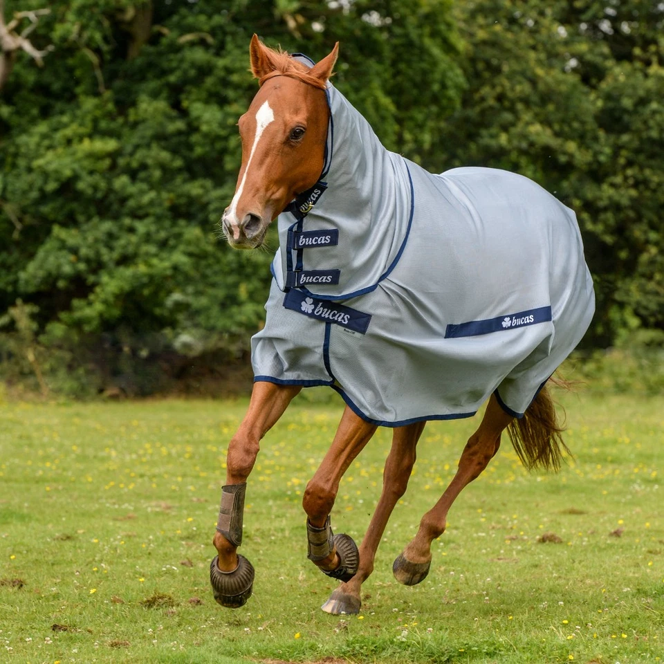 Bucas Buzz-Off Full Neck - silver/blue - Bild 1 von 1