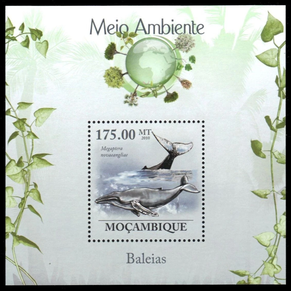 MOZAMBIQUE 1981 - Humpback Whale "Megaptera novaeangliae" (pb57171) - Image 1 of 1