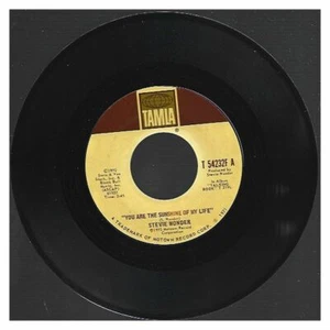  Stevie Wonder - You Are the Sunshine of My Life / Tuesday Heartbreak 7" 45 - Foto 1 di 2