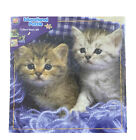 A+ Cuddly Kittens 36 Piece Educational Puzzle (12" x 12")