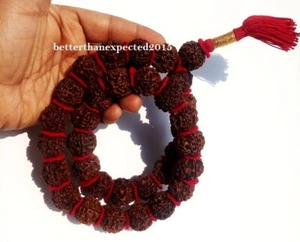 RARE 5 Mukhi Rudraksha Five Face Rudraksh 32+1 Nepal 20-22 MM Beads Kantha mala - Picture 1 of 4