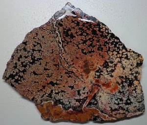 WRG- Fireworks \ Flowering Obsidian Slab 244 grams Lapidary Rough Old Stock - Picture 1 of 4
