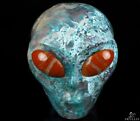 4.2" American Chrysocolla Carved Crystal Alien Skull & Red Jasper Eyes, Crystal
