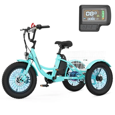 NAIZEA Tricycle Electric Bike EcoRide 3 Modes 250W Motor 16 in Pedal Assist Bike - Image 1 of 4
