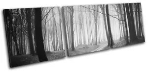 Forest Road Landscapes TREBLE CANVAS WALL ART Picture Print - Picture 1 of 1
