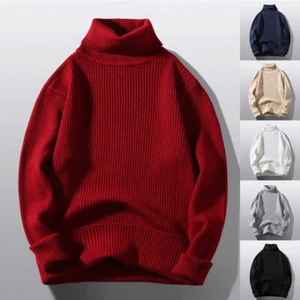 Mens Plain Turtleneck Knitted Sweater Pullover Winter Warm Jumper Knitwear T ∂ - Picture 1 of 18