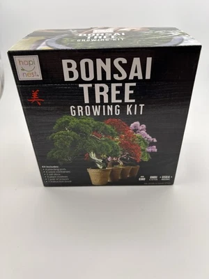 Bonsai Tree Growing Kit 4 Pots 4 Seeds by Hapinest  - Image 1 of 4